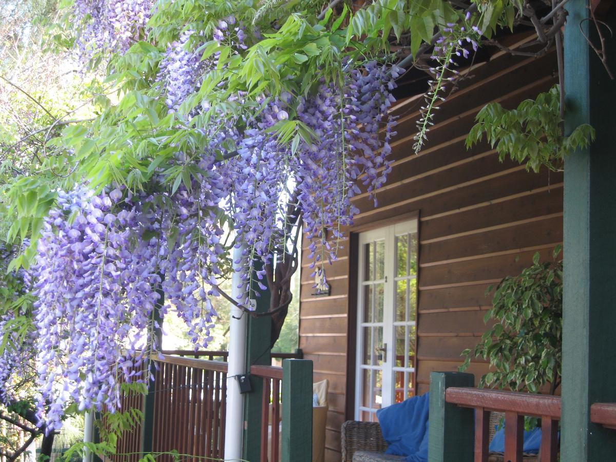 Rosemoore Bed & Breakfast Perth Exterior foto